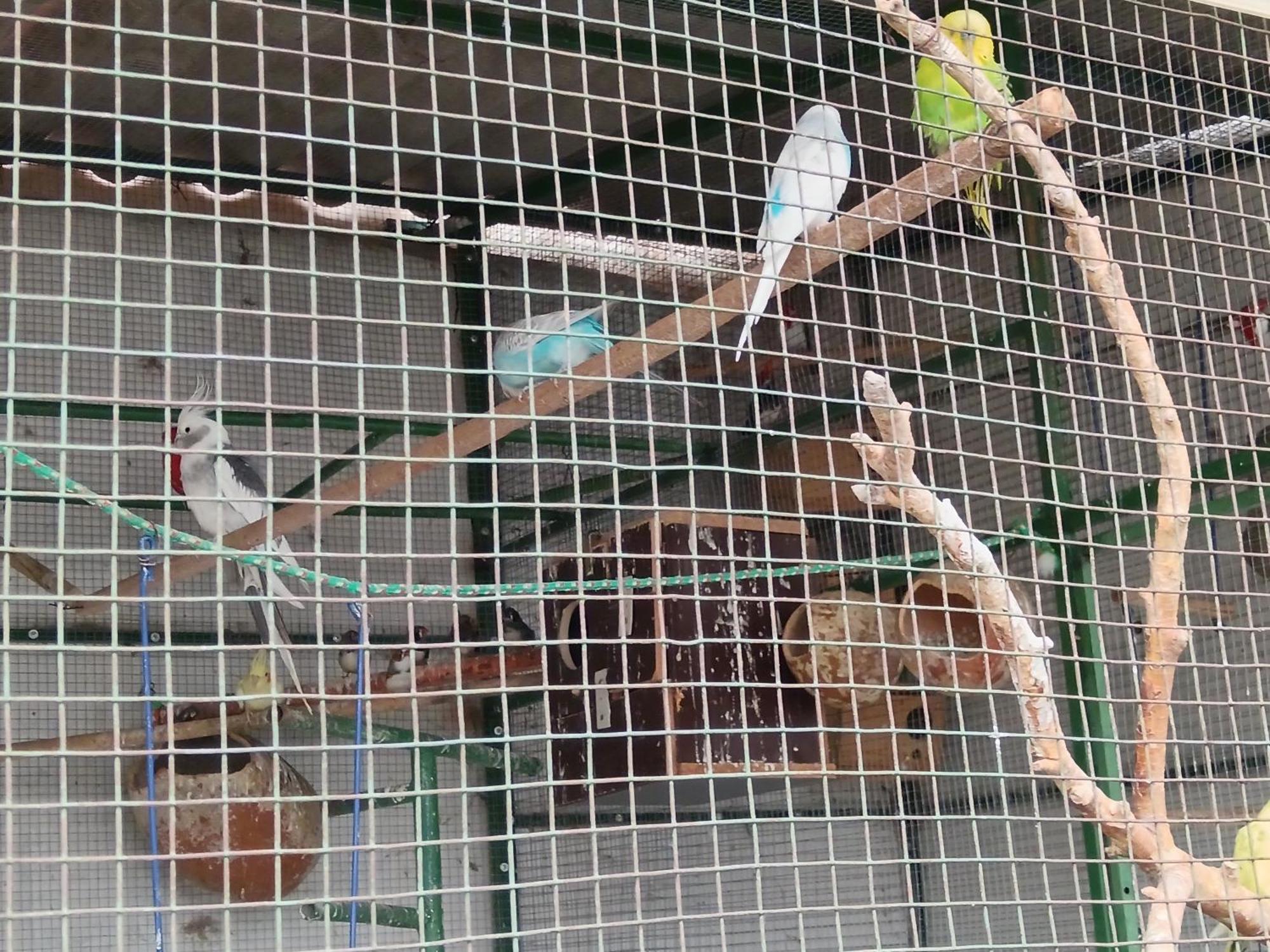Hospedaje Ajayu Sucre Exteriör bild